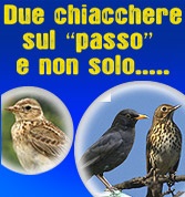 Torna due chiacchiere sul passo... e non solo